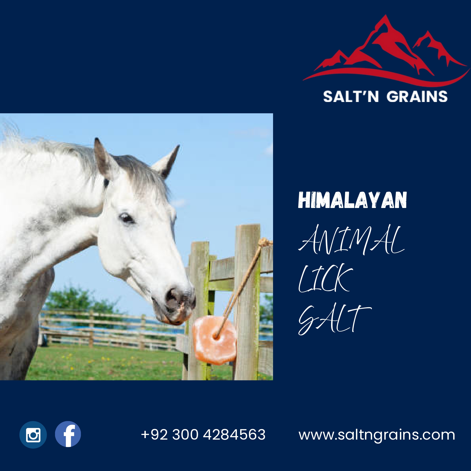 Animal Lick Salt